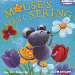 Mouse's First Spring Board Book