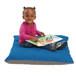 MyPerfectClassroom® Indoor/Outdoor 27" Pillows - Set of 4