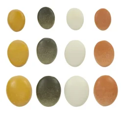 Natural Sorting Stones - Set of 12