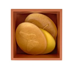 Natural Wooden Sorting Boxes & Sensory Stones Kit