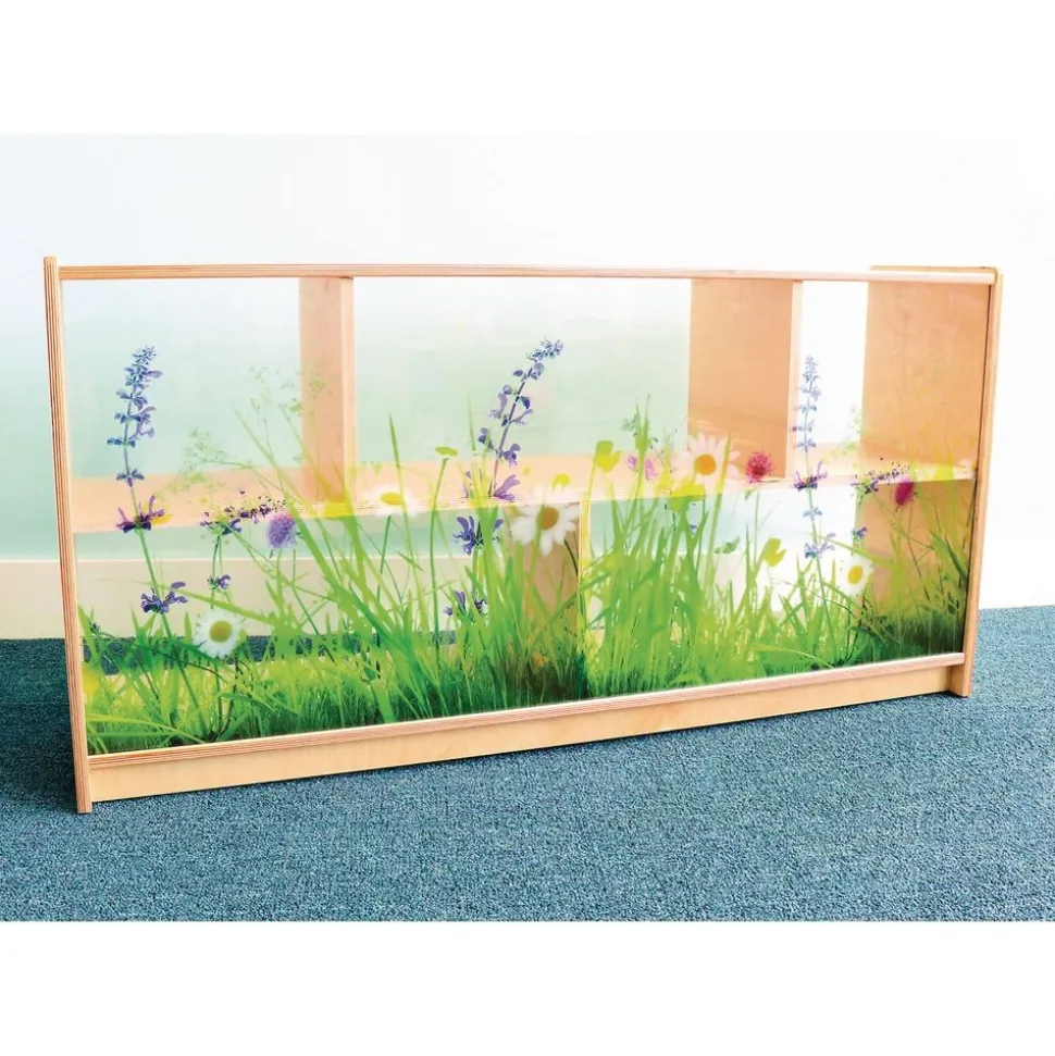 Nature View Acrylic Back Cabinet - 24" High