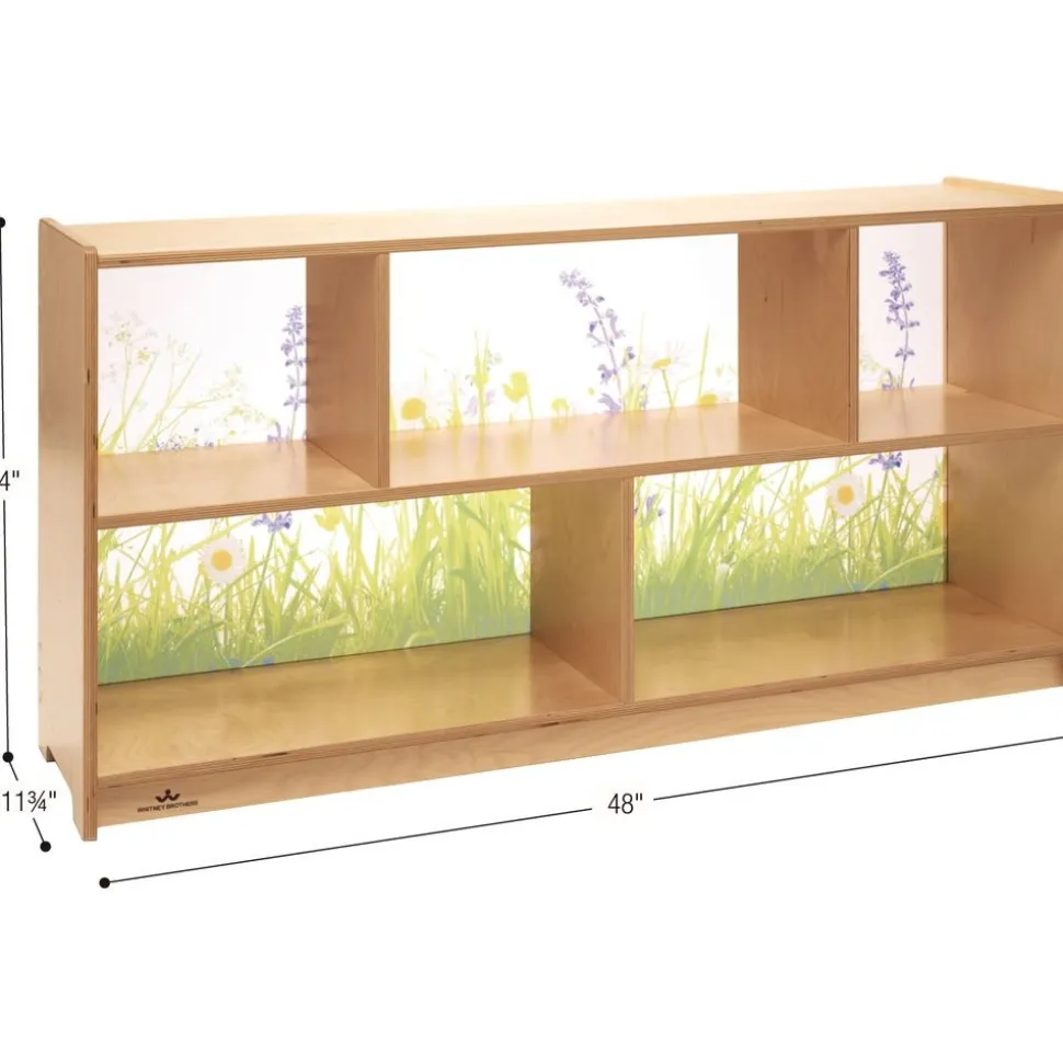 Nature View Acrylic Back Cabinet - 24" High