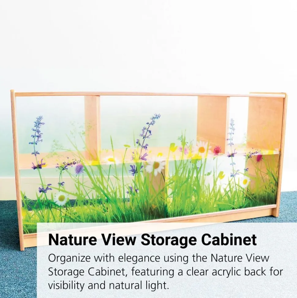 Nature View Acrylic Back Cabinet - 24" High
