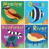 Now You See It - Set of 4 Board Books