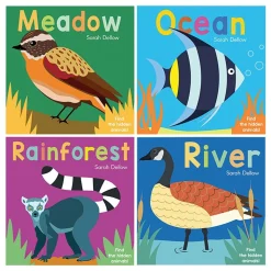 Now You See It - Set of 4 Board Books