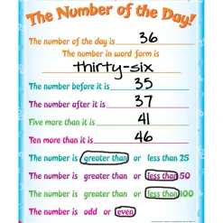 Number Of The Day! Poster - 1 poster