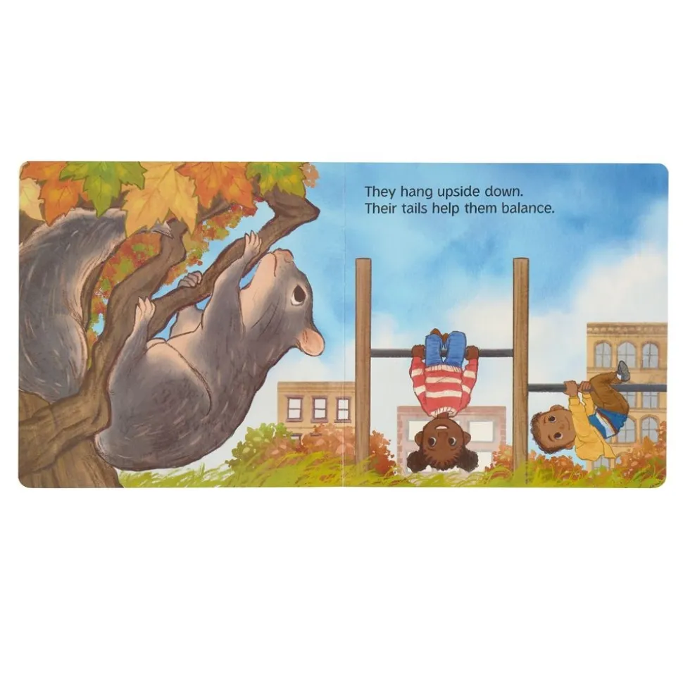 Outside Our Window Board Books - Set of 4