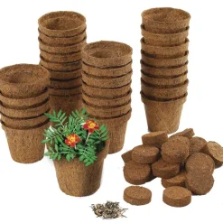 Plant Observation Journals And Wonder Soil Kit