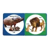 Poke-A-Dot: Wild Animal Families