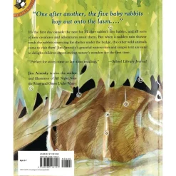 Rabbits and Raindrops Paperback Book