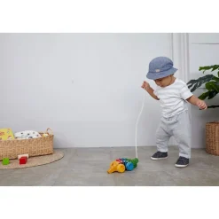 Rainbow Alligator Pull Toy