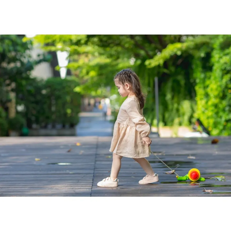 Rainbow Snail Pull Toy