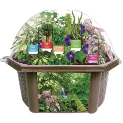 Rainforest Eco-Biosphere