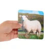 Really Good Stuff® Lenticular Cards- Set of 12