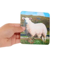 Really Good Stuff® Lenticular Cards- Set of 12