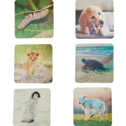 Really Good Stuff® Lenticular Cards- Set of 12