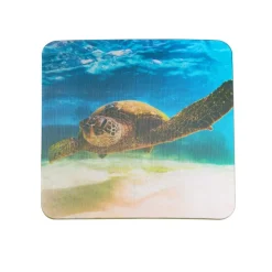 Really Good Stuff® Lenticular Cards- Set of 12