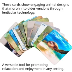 Really Good Stuff® Lenticular Cards- Set of 12