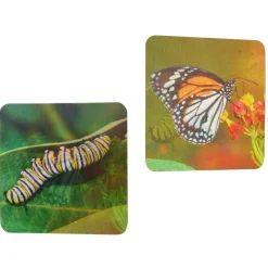 Really Good Stuff® Lenticular Cards- Set of 12
