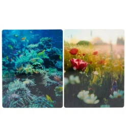 Really Good Stuff® Lenticular Posters - Set of 6