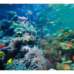 Really Good Stuff® Lenticular Posters - Set of 6