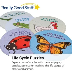 Really Good Stuff® Life Cycle Puzzles