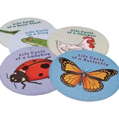 Really Good Stuff® Life Cycle Puzzles