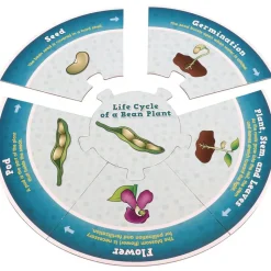 Really Good Stuff® Life Cycle Puzzles