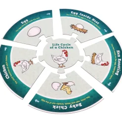 Really Good Stuff® Life Cycle Puzzles