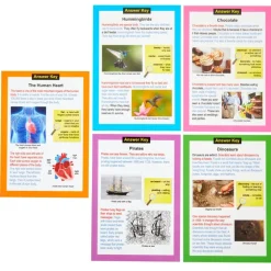Really Good Stuff® Main Idea Markup Story Cards and Tags - Level 1