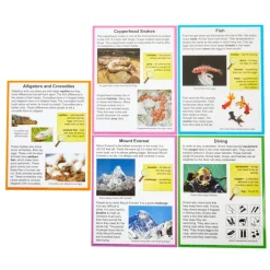 Really Good Stuff® Main Idea Markup Story Cards and Tags - Level 1