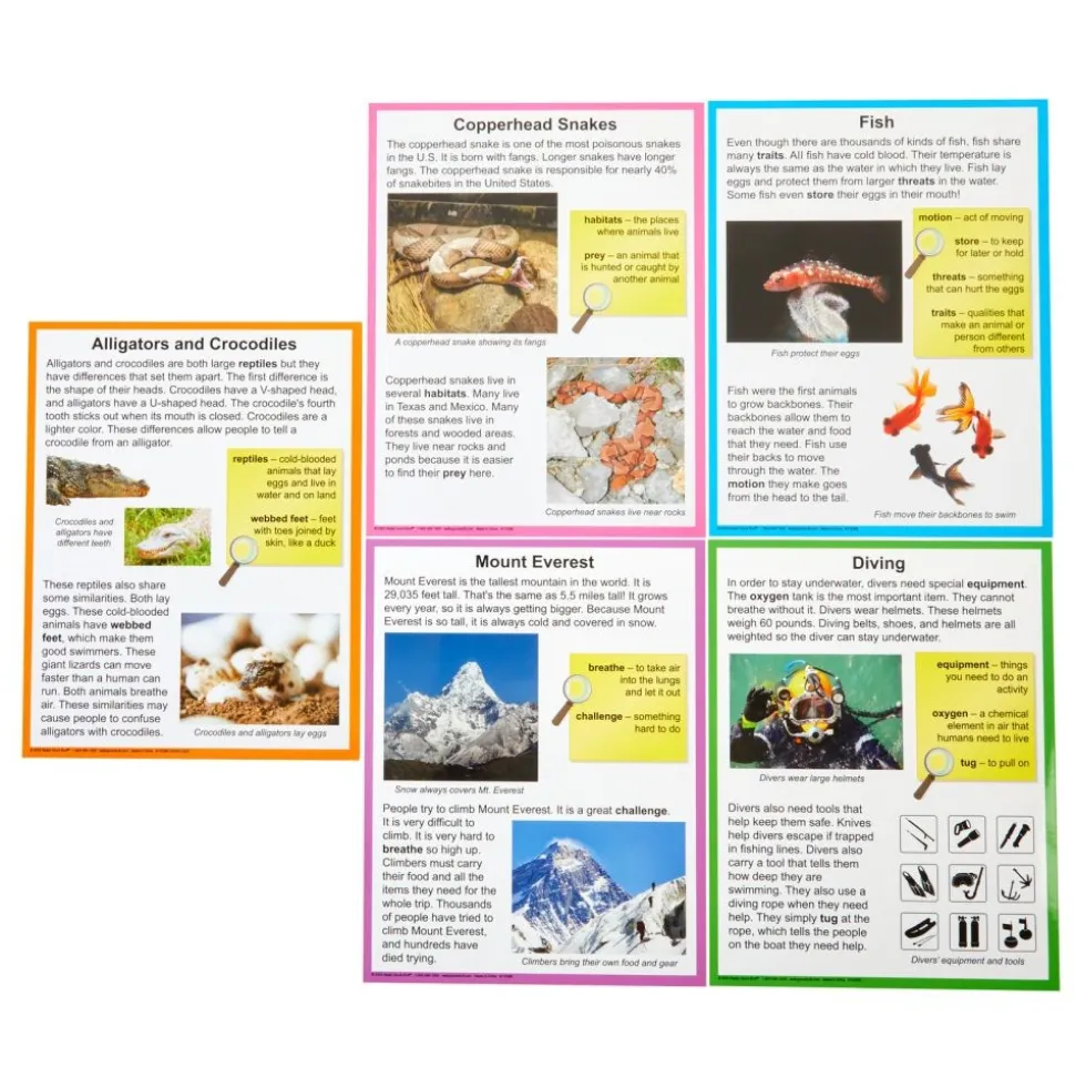 Really Good Stuff® Main Idea Markup Story Cards and Tags - Level 1