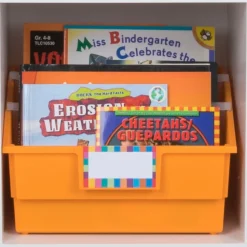 Really Good Stuff® Picture Book Library Bins With Dividers - Neon Set Of 4