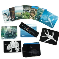 Roylco® Discover Dinosaurs Picture Cards & X-Rays - 24 cards