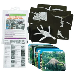 Roylco® Discover Dinosaurs Picture Cards & X-Rays - 24 cards