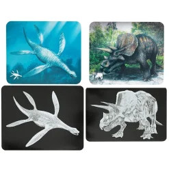 Roylco® Discover Dinosaurs Picture Cards & X-Rays - 24 cards