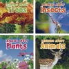 Science Vocabulary Paperback Books - 4 Titles