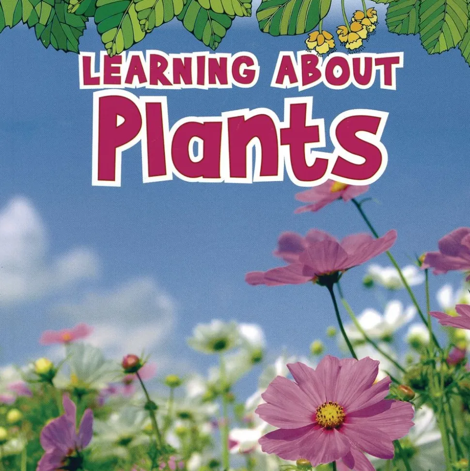 Science Vocabulary Paperback Books - 4 Titles