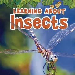 Science Vocabulary Paperback Books - 4 Titles