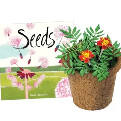 Seeds and Wonder Soil Classroom Gardening Kit