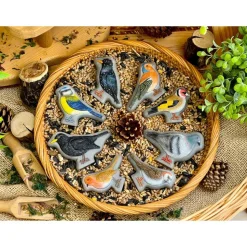 Sensory Play Stones - Birds 8pcs