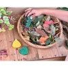 Sensory Play Stones - Leaves 12pcs