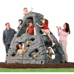 Skyward Summit Climber