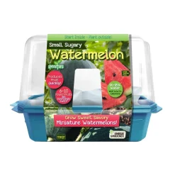 Small, Sugary Watermelon