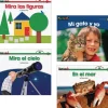 Spanish Early Literacy 12 Book Set