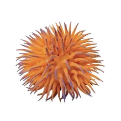 Spiky Sensory Toys - Set of 4