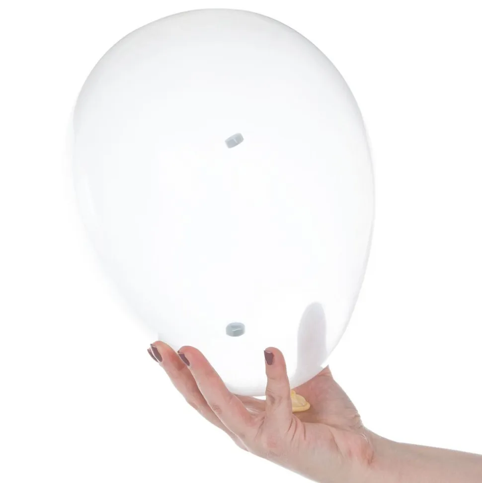 Steve Spangler Science® At-Home Science Kit: Screaming Balloons