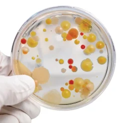 Steve Spangler Science® Growing Bacteria Kit