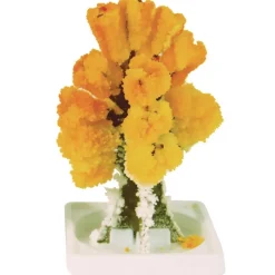 Steve Spangler Science® Magic Trees - Set Of 5