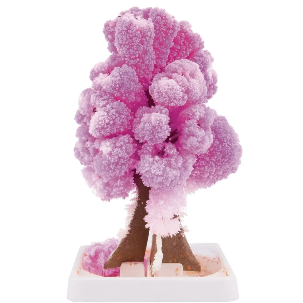 Steve Spangler Science® Magic Trees - Set Of 5